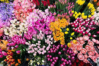 R星联合创始人证实自己没有参与开发《GTA6》